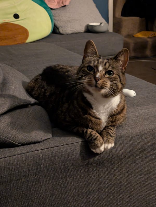 Monty